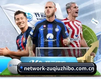平台简介